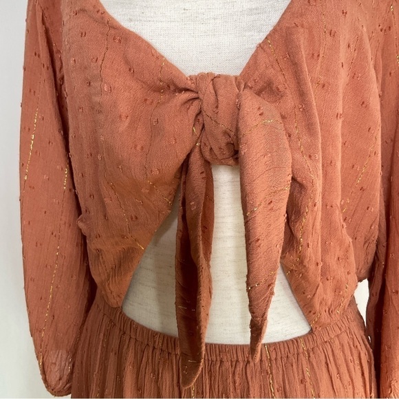 L*Space Stay Golden Mini Dress  in Brown XSmall - Picture 4 of 13